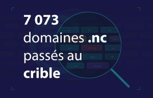 infographie du web en nouvelle calédonie