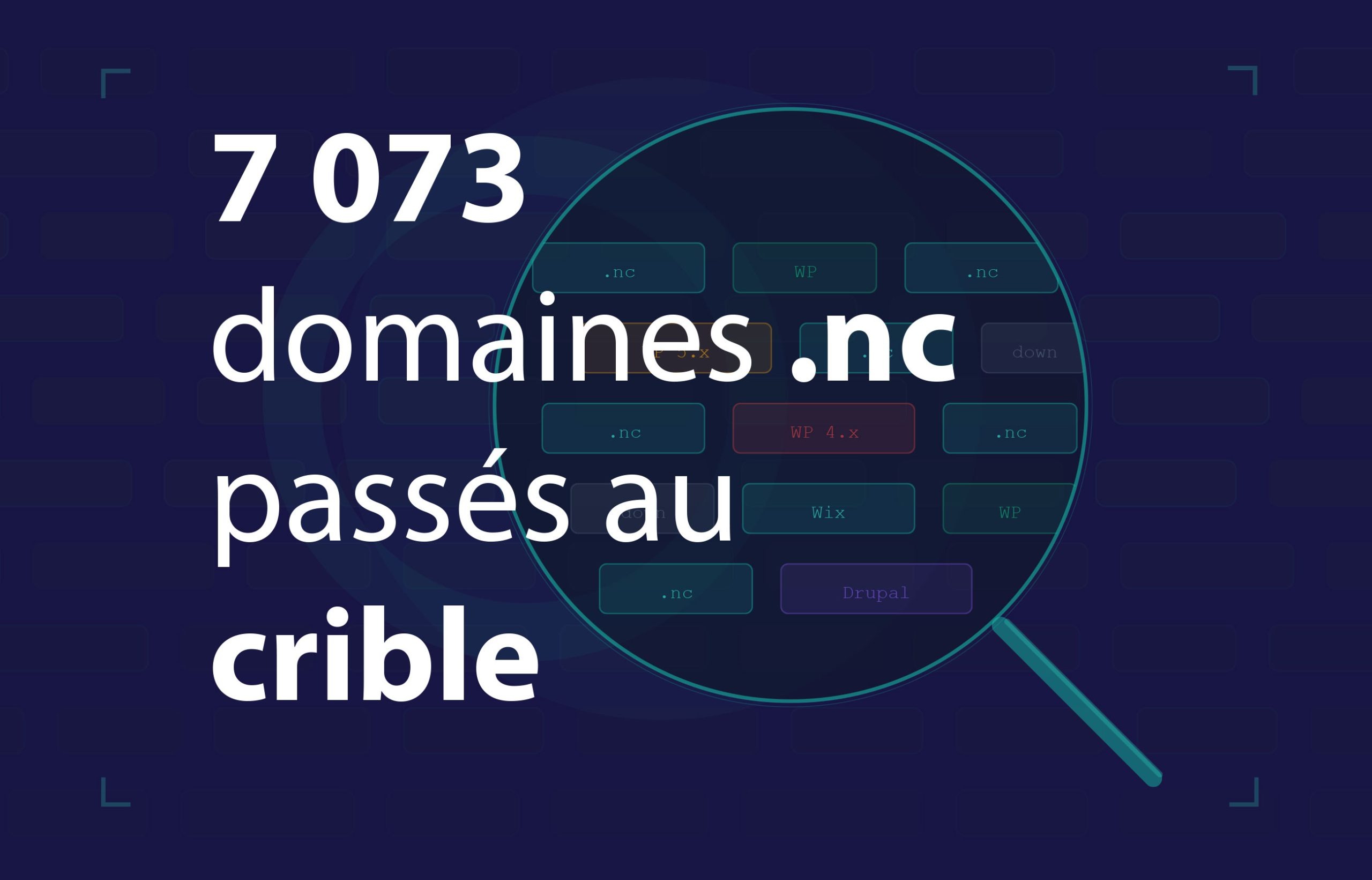infographie du web en nouvelle calédonie